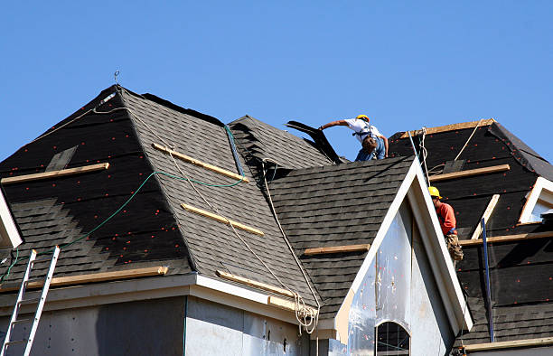 Best Metal Roofing Contractor  in Temperance, MI