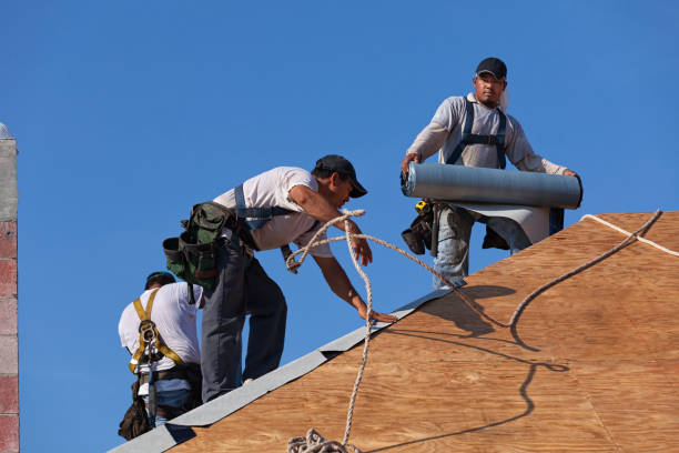 Sealant for Roof in Temperance, MI