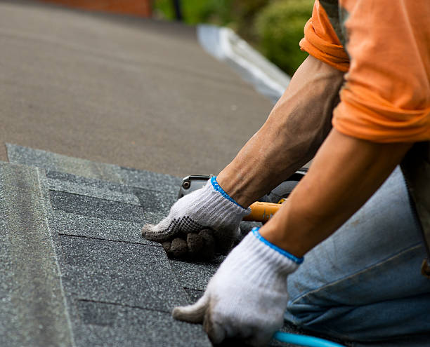 Best New Roof Installation  in Temperance, MI
