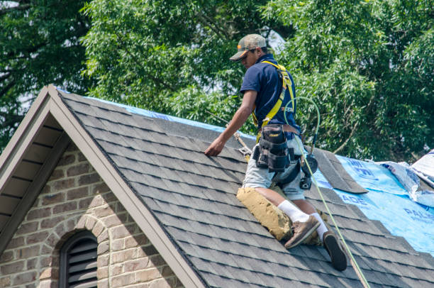 Best Commercial Roofing Services  in Temperance, MI
