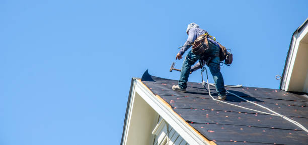 Best Roof Maintenance Services  in Temperance, MI